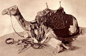 Lawrence d'Arabie et son chameau