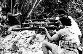 Invasion du Timor par l'Indonésie, 1975